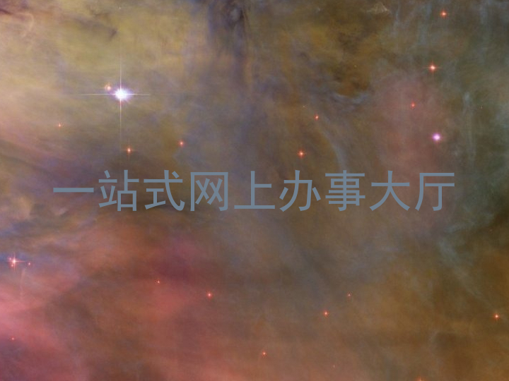 一站式网上办事大厅