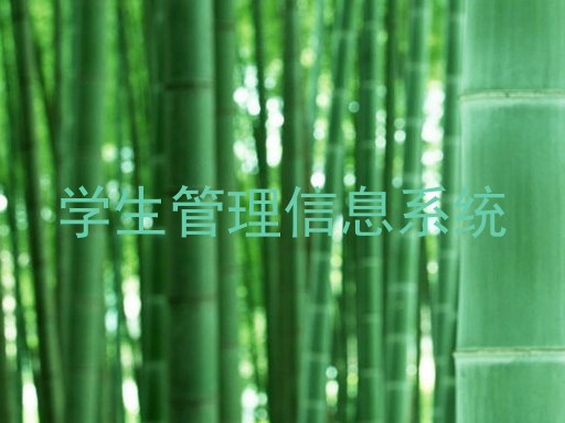 学生管理信息系统