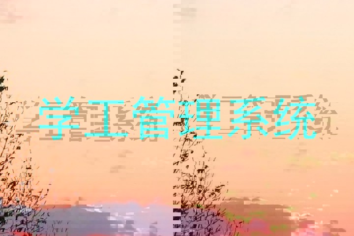 学工管理系统