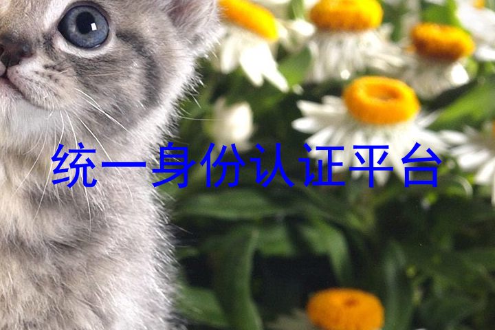 统一身份认证平台
