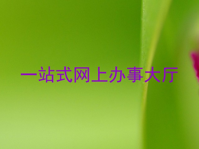 一站式网上办事大厅