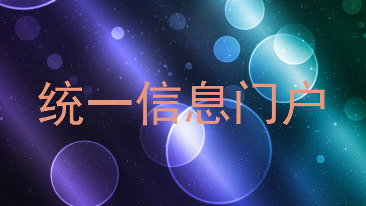 统一信息门户