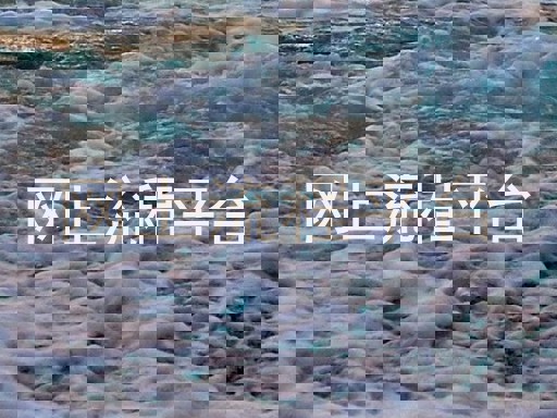 网上流程平台