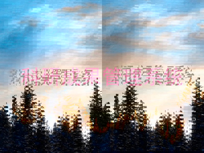 科研成果管理系统