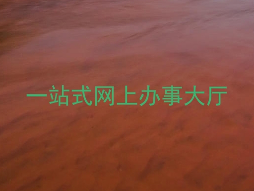 一站式网上办事大厅