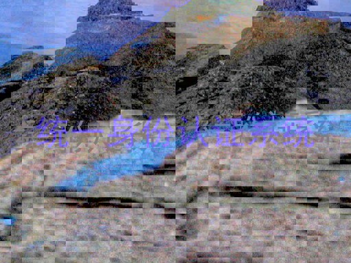 统一身份认证系统