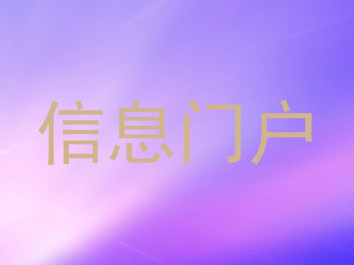 信息门户