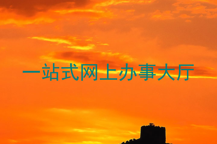 一站式网上办事大厅