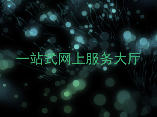 一站式网上服务大厅