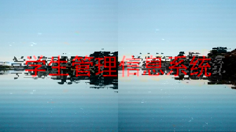 学生管理信息系统