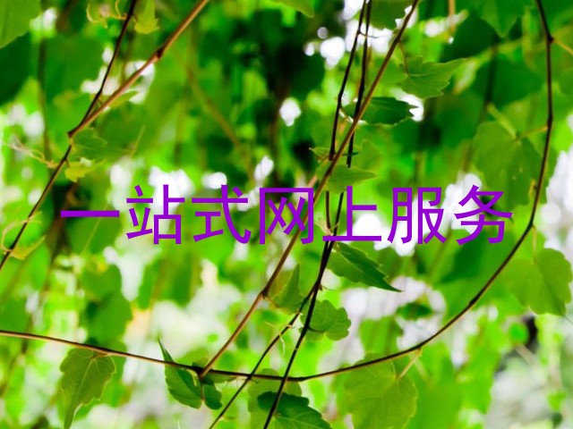 一站式网上服务