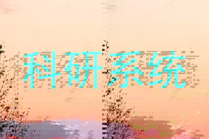 科研系统