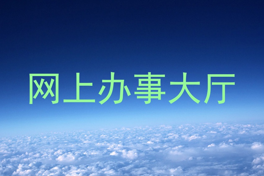 网上办事大厅