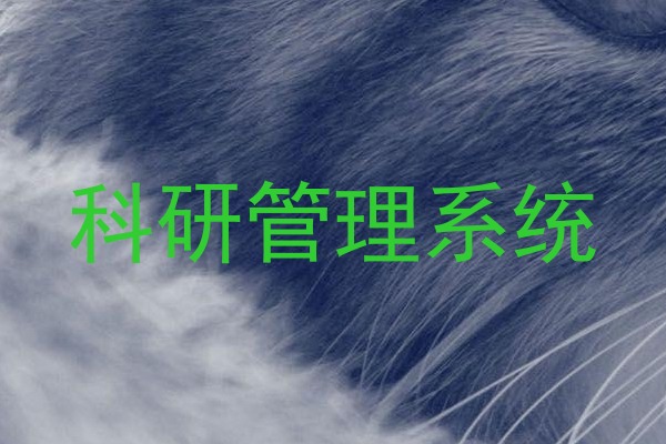 科研管理系统