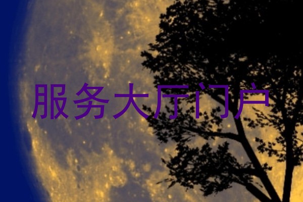 服务大厅门户