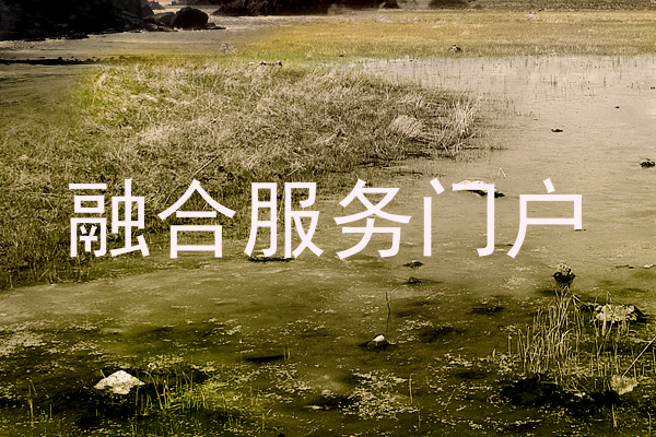 融合服务门户