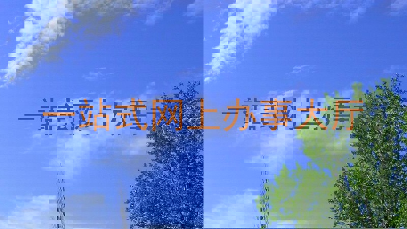 一站式网上办事大厅