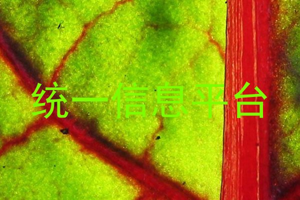 统一信息平台