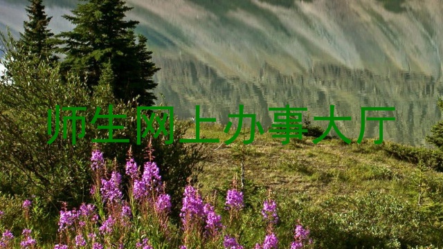 师生网上办事大厅