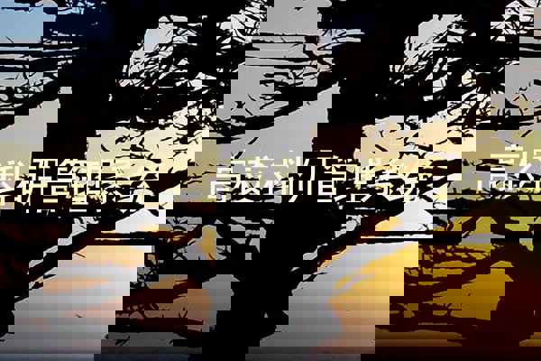 高校科研管理系统