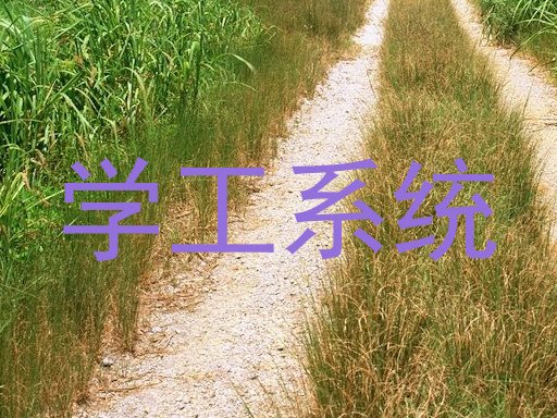 学工系统