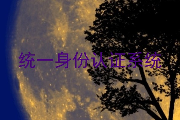 统一身份认证系统