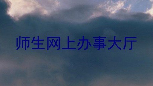 师生网上办事大厅