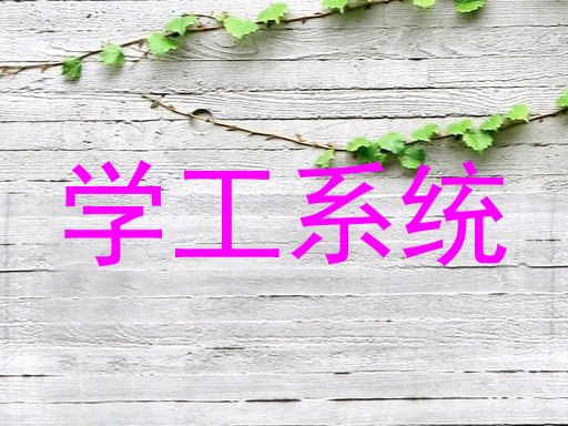 学工系统