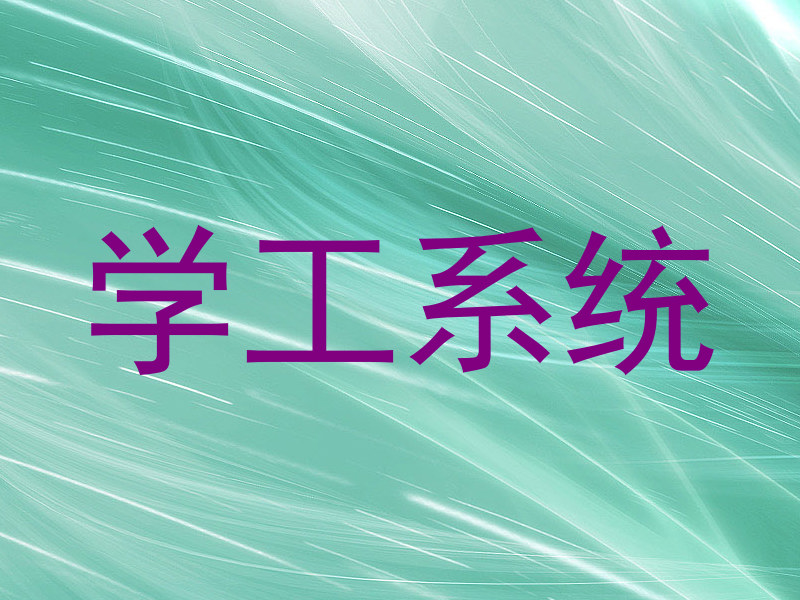 学工系统