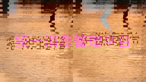 统一消息管理平台