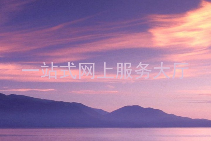 一站式网上服务大厅