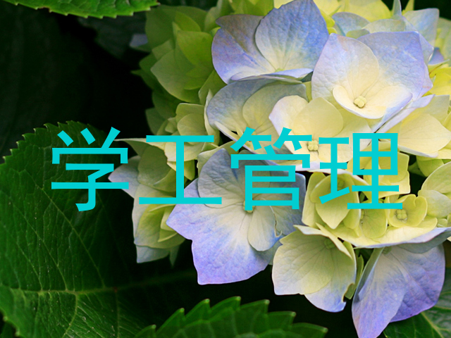 学工管理