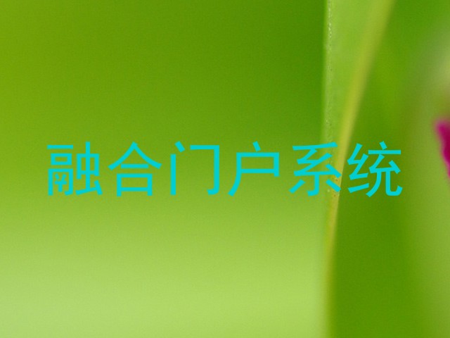 融合门户系统