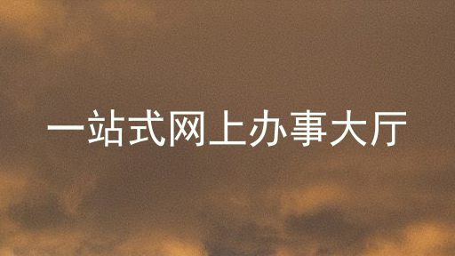 一站式网上办事大厅