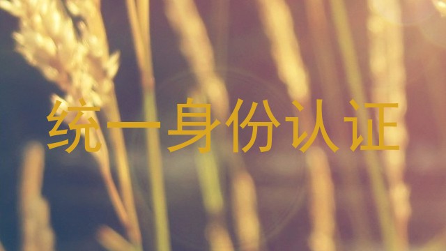 统一身份认证