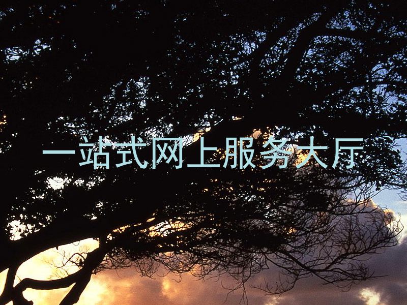 一站式网上服务大厅