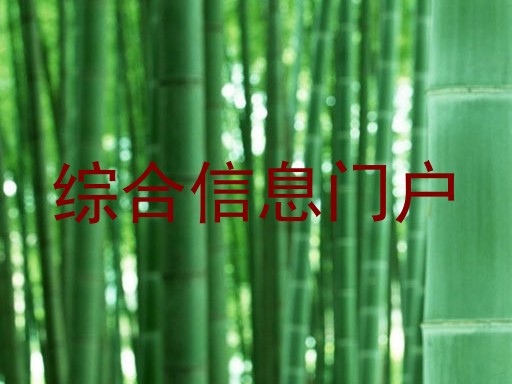 综合信息门户
