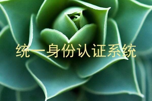 统一身份认证系统