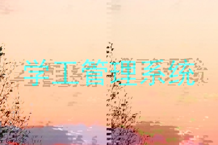 学工管理系统