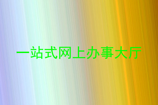 一站式网上办事大厅
