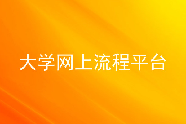 大学网上流程平台