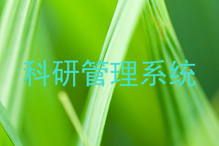 科研管理系统