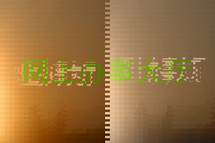 网上办事大厅