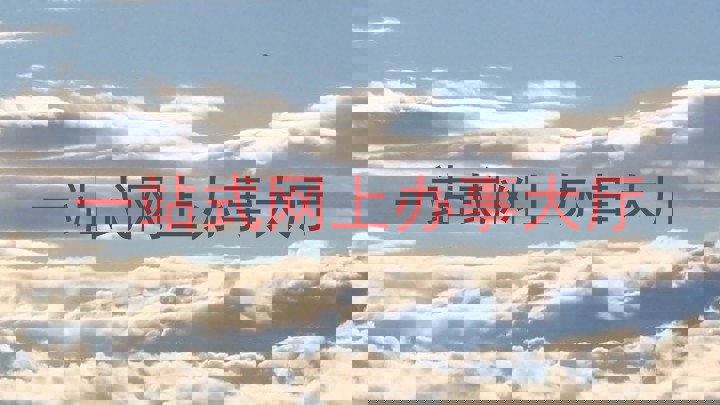 一站式网上办事大厅