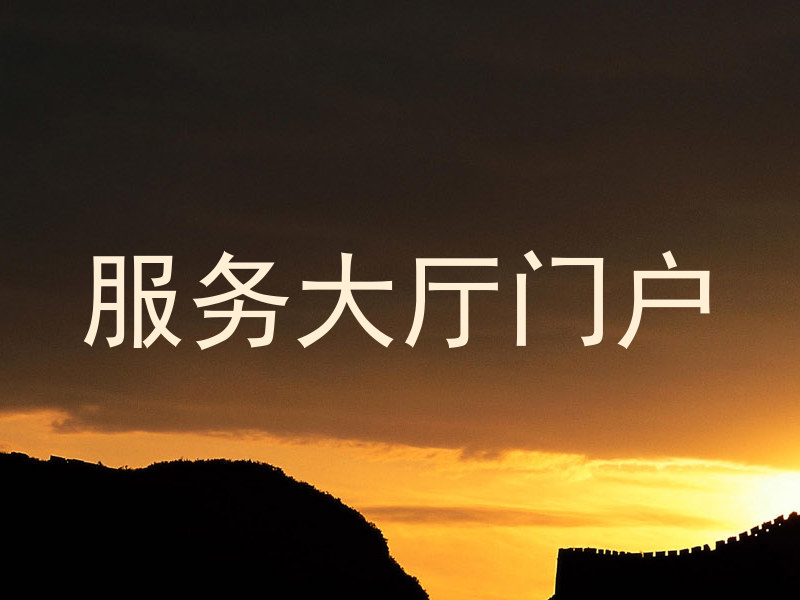 服务大厅门户