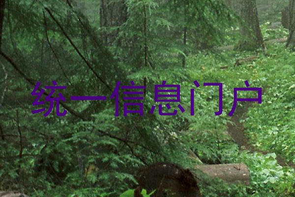 统一信息门户