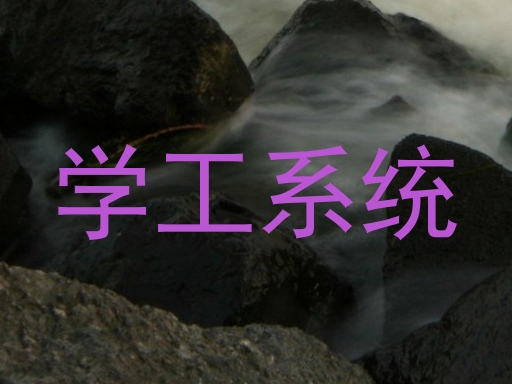 学工系统