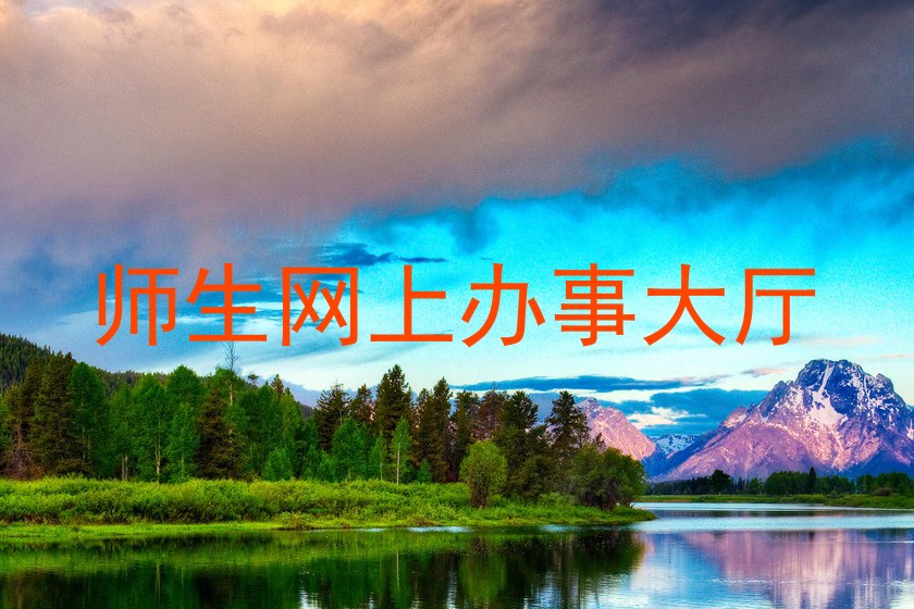 师生网上办事大厅