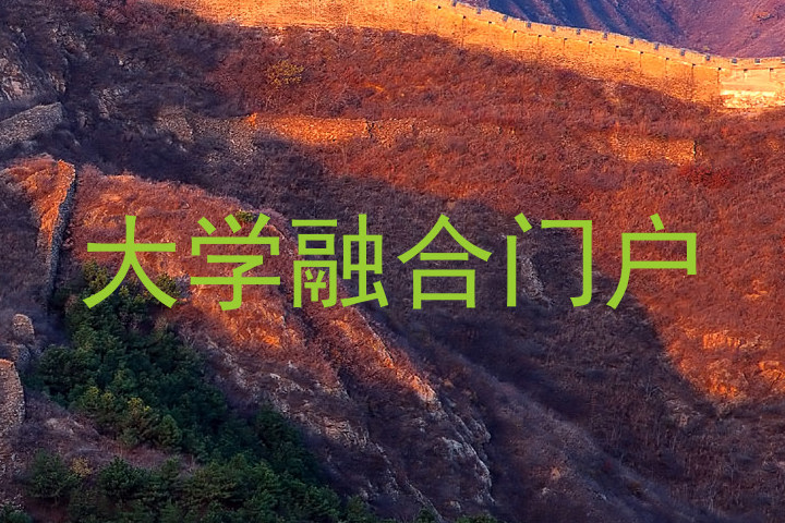 大学融合门户