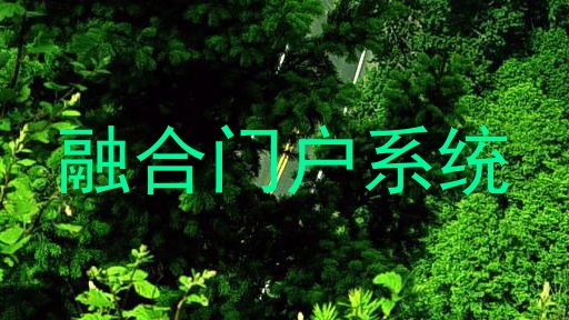 融合门户系统